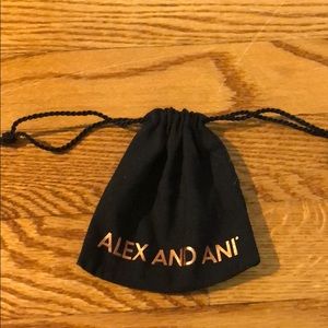 ALEX ANS ANI JEWELRY BAG!